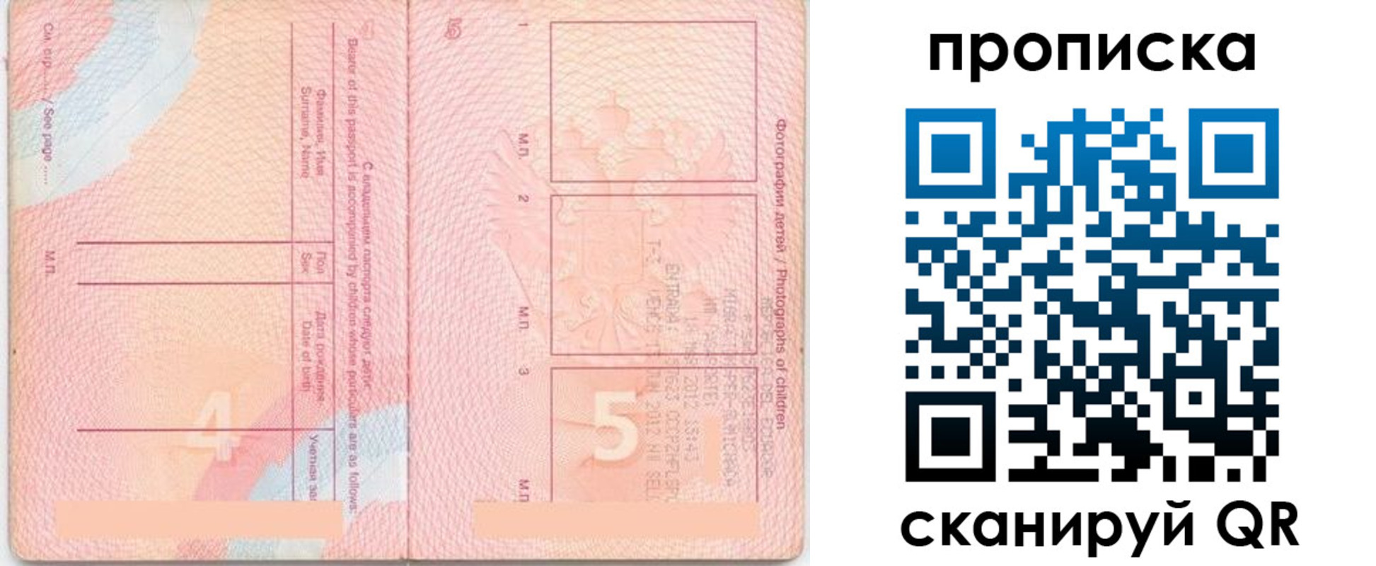прописка законно в Североморске
